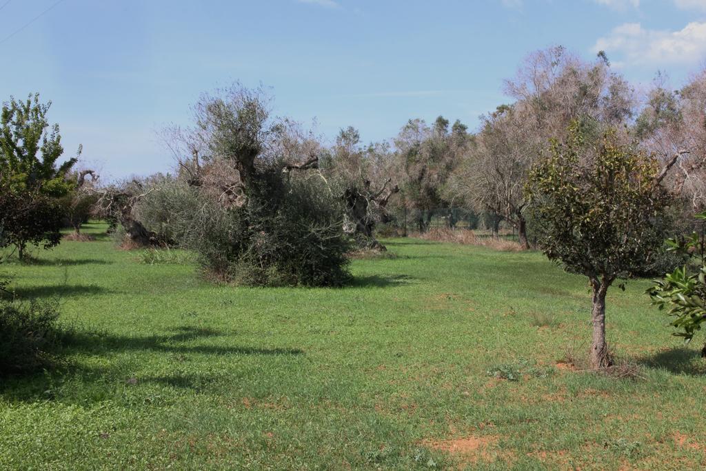 Villa Nanni Gallipoli Kültér fotó